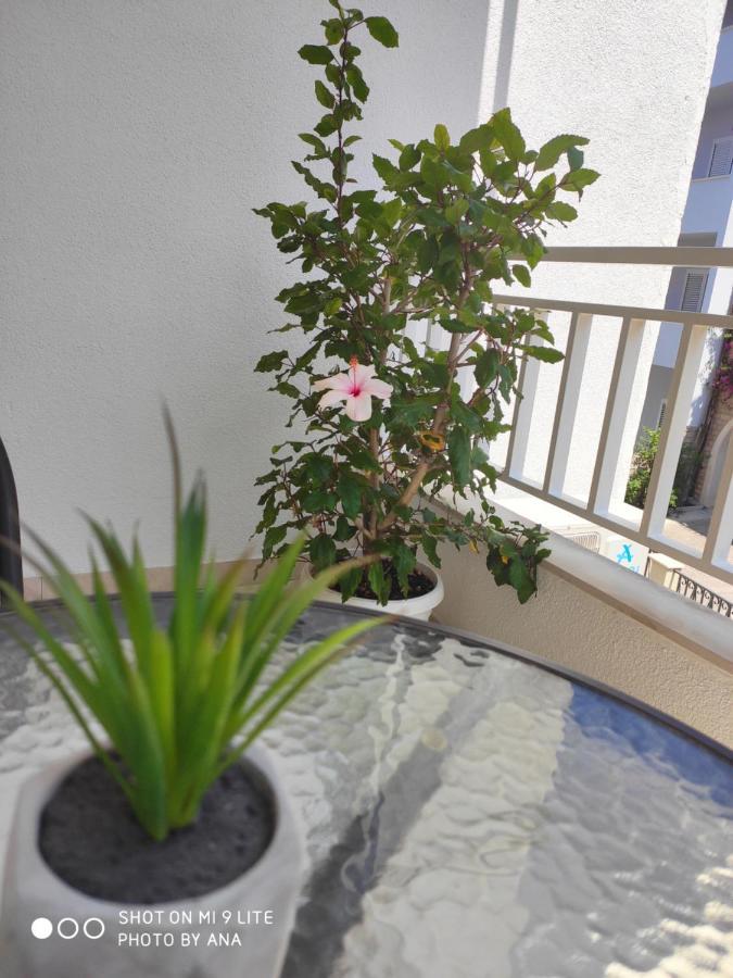 Apartments Jadranka Makarska Eksteriør bilde